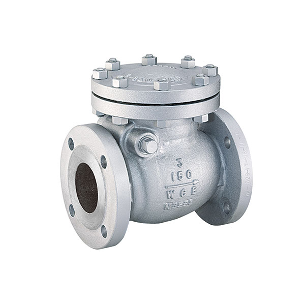 Cast Steel Check Valve